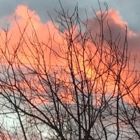 Закатное небо декабря :: Татьяна Юрасова