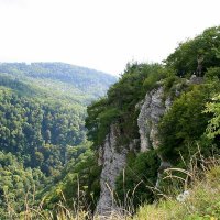 АХШТЫРСКОЕ УЩЕЛЬЕ СОЧИ :: Tata Wolf