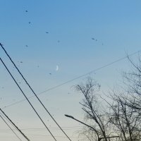 рассветное :: Лера рассветное :: Лера