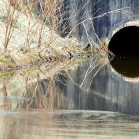 то снег то дождь :: Олег Лукьянов