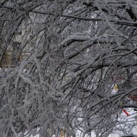 Зима .... :: Алёна Савина