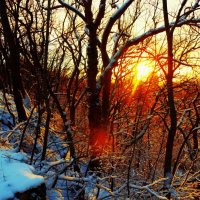 Яркий закат :: Aida10 