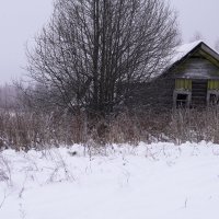 Доживающий. :: Сергей Ц