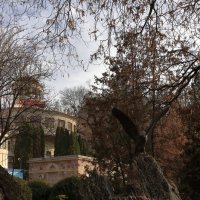 Кисловодск. Орёл. :: Александр Николаев