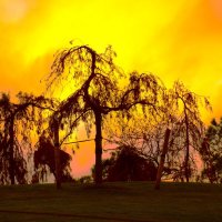 Драма. :: Юрий Полторыхин.