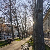 Севастополь, центр :: Светлана Тихонина