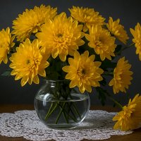 осенние хризантемы :: Aleksey Afonin