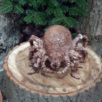 Кто ползёт такой колючий ? :: Galina Solovova