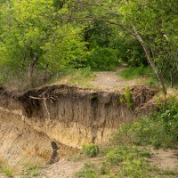 Раньше тут была дорога :: Игорь Сикорский