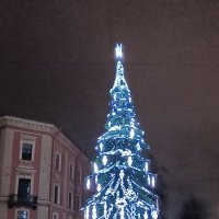 Ёлочка у БКЗ Октябрьский. :: Ольга 