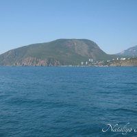 Природа Крыма :: Amazing Cosmea