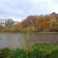 Озеро Лесное, Калининград :: Рита Симонова