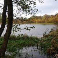 Озеро Лесное, Калининград :: Рита Симонова