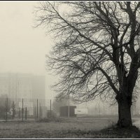 *** :: Aleksandr Gal