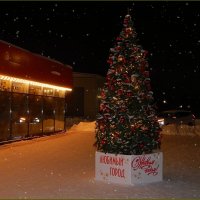 Ёлочка :: Валентина Надсон