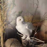 В музее :: Валентина Богатко В музее :: Валентина Богатко