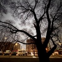 Вечер. :: Любовь 