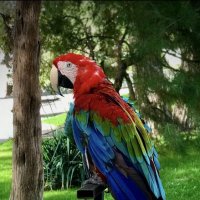 Летняя зарисовка) :: Любовь 