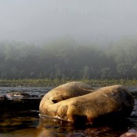 Камень - седло.. :: Николай Рубцов Камень - седло.. :: Николай Рубцов
