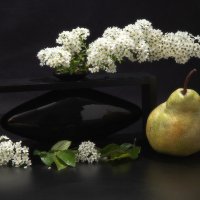 Натюрморт со спиреей и грушей. :: Лилия *