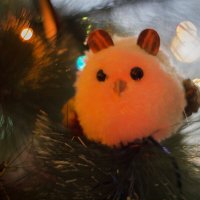 НГ :: Тамара Федорова