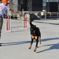 Задор :: Александр Рыжов