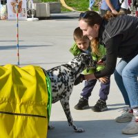 Радость :: Александр Рыжов
