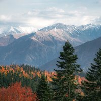 Золотая осень в Адыгее :: Сергей Сабешкин