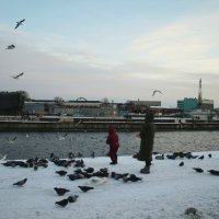 Зима 2025. Февраль :: Наталья Герасимова