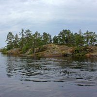 Причудливым образом :: Владимир Соколов (svladmir)