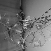 111 :: Василий Палий