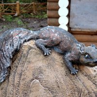 Белочка в парке Рускеала. :: Ирина *** Белочка в парке Рускеала. :: Ирина ***