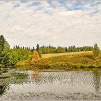 Лесное озеро. :: Aquarius - Сергей