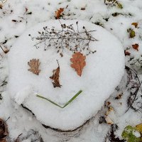 Улыбнулись! Хорошего вам настроения! :: Валентина  Нефёдова 