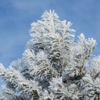 Зима :: Виктор Иванович Чернюк