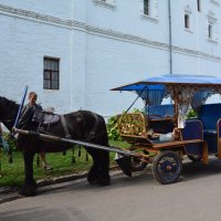 такие разные лошадки... :: Галина R... такие разные лошадки... :: Галина R...