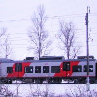 Ласточка в пути :: Людмила Смородинская