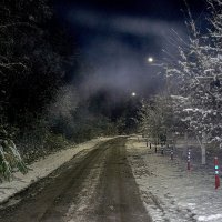 Дорога в ночи :: Сергей Цветков Дорога в ночи :: Сергей Цветков