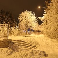 Ночная жизнь :: Ольга 