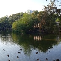 В Харитоновском парке :: Елена Шаламова