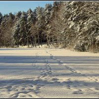 *** :: Aleksandr Gal