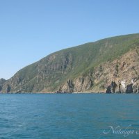 Природа Крыма :: Amazing Cosmea