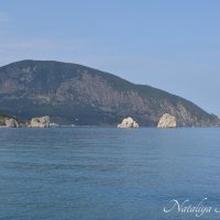 Природа Крыма :: Amazing Cosmea