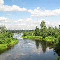 Река Чагода в районе поселка Первомайский :: Александр Ильчевский 