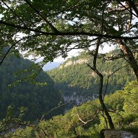 Ахштырское ущелье Сочи :: Tata Wolf