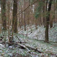 Уже не Осень :: юрий поляков