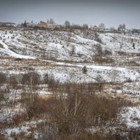 "Малоснежный декабрь. Ожидание"© :: Владимир Макаров