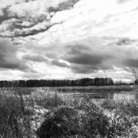 Б/Н :: Николай 