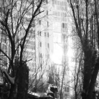 *** :: Сергей Сергеев