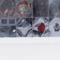 Два дебила это сила! :: Maria Rainer